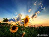 博澳智慧能源（大连）有限公司