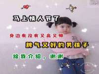 博澳智慧能源（大连）有限公司