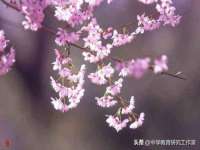 博澳智慧能源（大连）有限公司