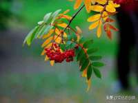 博澳智慧能源（大连）有限公司