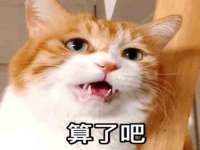 博澳智慧能源（大连）有限公司
