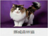 博澳智慧能源（大连）有限公司