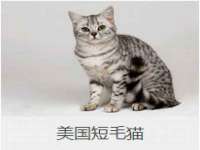 博澳智慧能源（大连）有限公司
