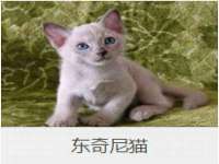 博澳智慧能源（大连）有限公司
