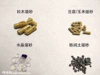 博澳智慧能源（大连）有限公司