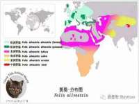 博澳智慧能源（大连）有限公司