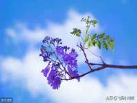 博澳智慧能源（大连）有限公司