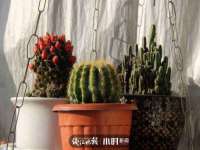 博澳智慧能源（大连）有限公司