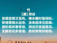 博澳智慧能源（大连）有限公司
