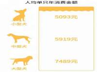博澳智慧能源（大连）有限公司