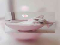 博澳智慧能源（大连）有限公司