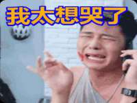 博澳智慧能源（大连）有限公司