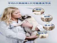 博澳智慧能源（大连）有限公司