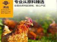 博澳智慧能源（大连）有限公司