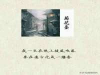 博澳智慧能源（大连）有限公司