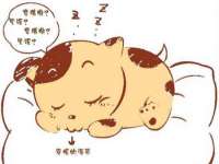 博澳智慧能源（大连）有限公司