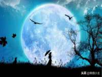 博澳智慧能源（大连）有限公司