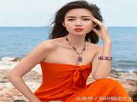 博澳智慧能源（大连）有限公司