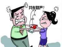 博澳智慧能源（大连）有限公司
