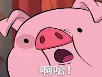 博澳智慧能源（大连）有限公司