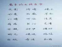 博澳智慧能源（大连）有限公司